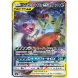 102/094 SR メガヤミラミ＆バンギラスGX