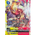 アポロモンACE[P★][P-191]
