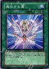 進化する翼 EE04-JP045