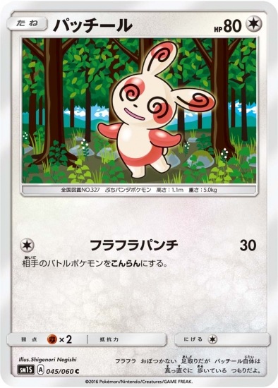 PK-SM1S-045 パッチール C