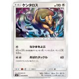 PK-SM11-072 ケンタロス C