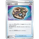 PK-S3-091 めずらしい化石 C