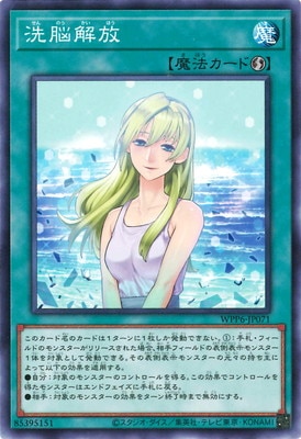 洗脳解放 WPP6-JP071