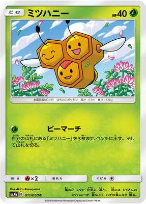PK-SM7B-011 ミツハニー C