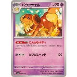 PK-SV4a-090 バウッツェル
