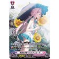 享楽の才媛 フェルティローザ D-LBT01/SP34