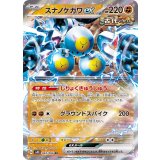 042/066 RR スナノケガワex