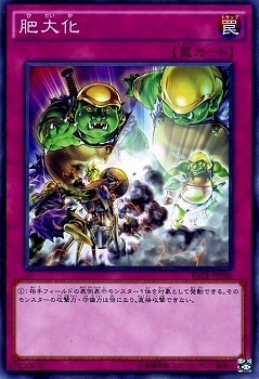 肥大化 RATE-JP080