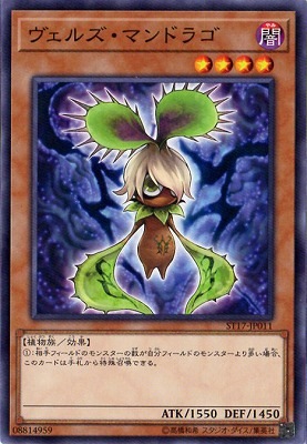 ヴェルズ・マンドラゴ ST17-JP011