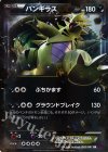 042/081 RR バンギラスEX