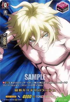 【RGR仕様(R)】限界ギリギリのラッシュ[VG_D-TB05/RGR40RGR]