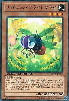 第8期/DTC2-JP073 ナチュル・フライトフライ