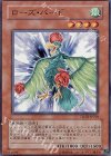 ローズ・バード TSHD-JP018