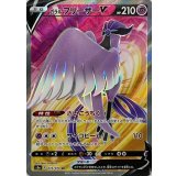073/070 SR ガラルフリーザーV