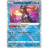 PK-SVF-004 かがやくゲッコウガ