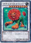 ナチュル・ガオドレイク [DTC2-JP028]