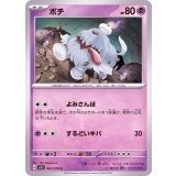 PK-SV1V-047 ボチ C