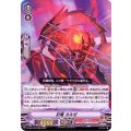封竜 カルゼ D-VS01/024