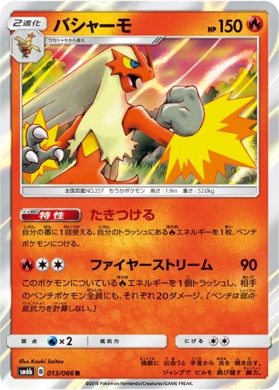 PK-SM6B-013 バシャーモ R