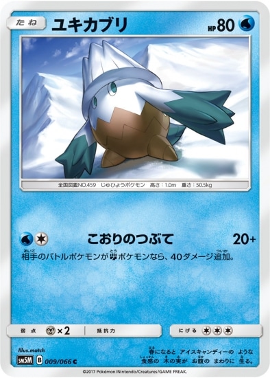 PK-SM5M-009 ユキカブリ C