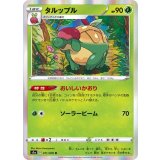 PK-S1a-011 タルップル R