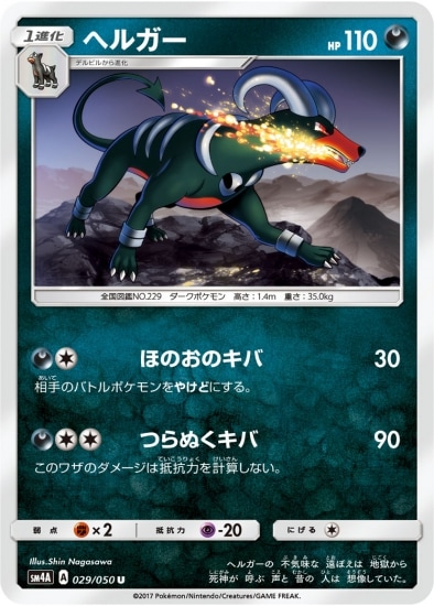 PK-SM4A-029 ヘルガー U