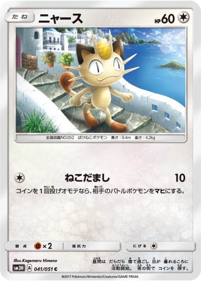 041/051 C ニャース