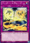 ワンダー・エクシーズ SHVI-JP076
