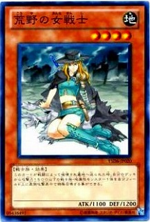 荒野の女戦士 YSD6-JP020