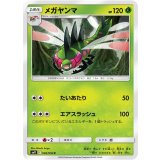 PK-SM11-002 メガヤンマ C
