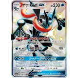PK-SM8B-216 ゲッコウガGX SSR