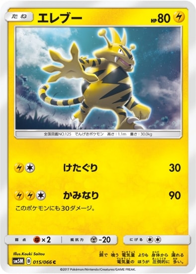PK-SM5M-015 エレブー C
