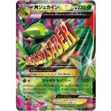 【CP4】【007/131】MジュカインEX