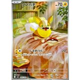 086/080 AR ワンパチ
