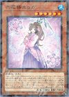 六花精エリカ DBSS-JP018