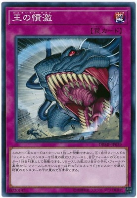 王の憤激 DBMF-JP039
