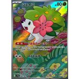 066/063 AR シェイミ