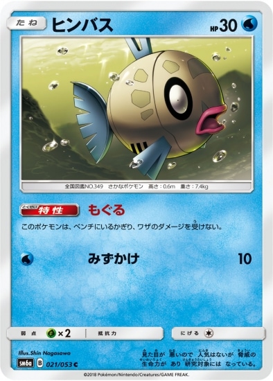PK-SM6A-021 ヒンバス C