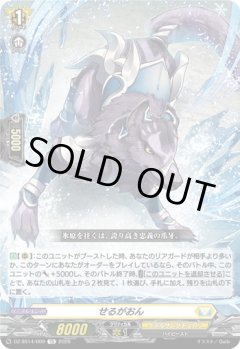 せるがおん[VG_DZ-SS14/009TD]
