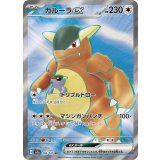 192/165 SR ガルーラex