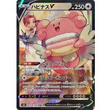 PK-S8b-254 ハピナスV CSR