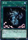 堕落 LVP1-JP005
