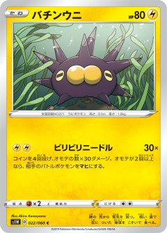 PK-S1W-022 バチンウニ C