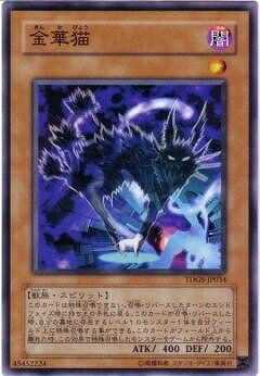 金華猫 [TDGS-JP034]