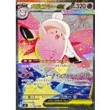 112/080 SAR メガピクシーex