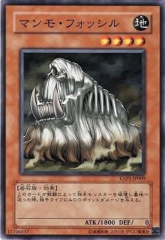 マンモ・フォッシル EXP1-JP009