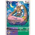 ロップモンX抗体 BT16-067