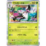 PK-SVAM-006 マスカーニャ