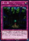 迷い風 [RATE-JP068]