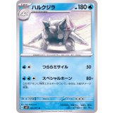 PK-SV2P-022 ハルクジラ U